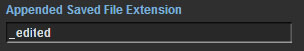 7. Appended Save File Extension